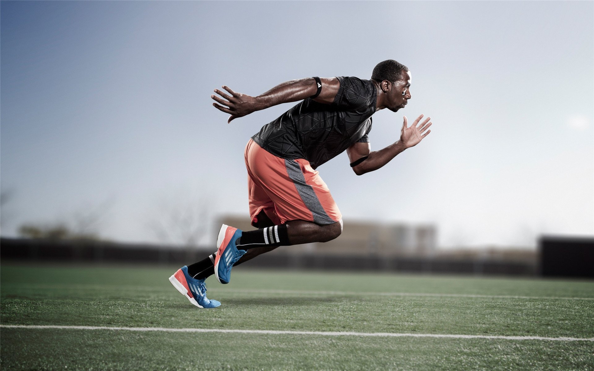 字母哥用黄蜂式统治力，为鹈鹕提前写下终章